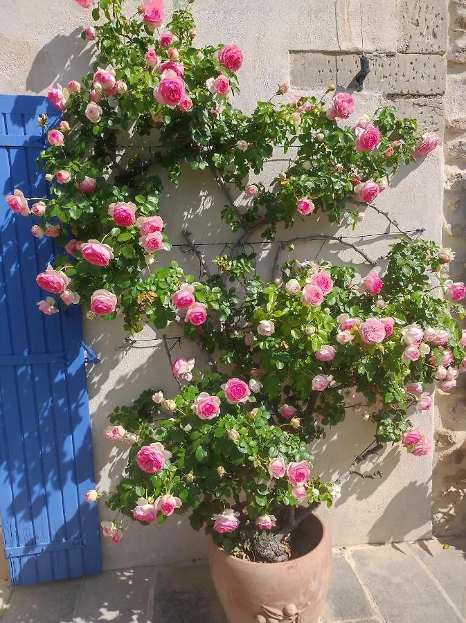 Mas De Manon Bed and Breakfast Valréas Γαλλία